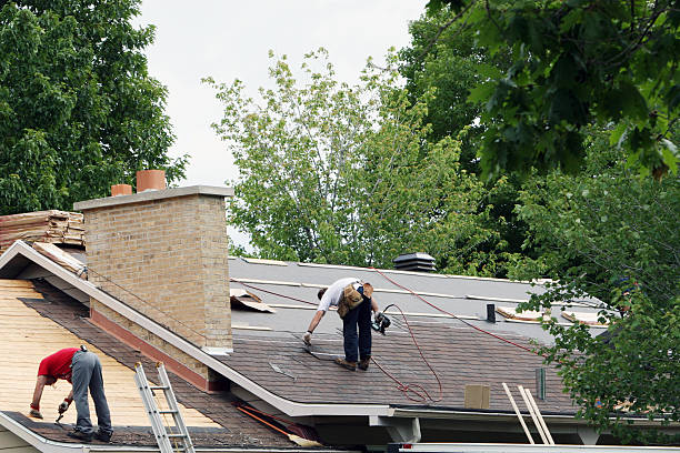 Best Roof Gutter Cleaning  in Eagle, ID